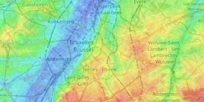 Brussel-topografische kaart